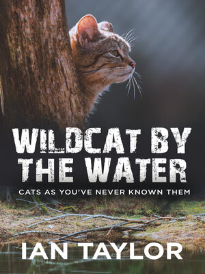 cover image of Wildcat by the Water